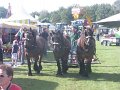 IMG_1360