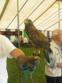 IMG_1413