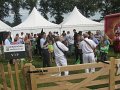 IMG_1461