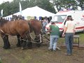 IMG_1622