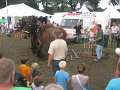 IMG_1624