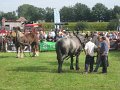 IMG_1654