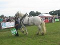 IMG_1662