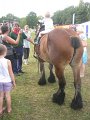 IMG_1648