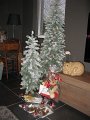 IMG_6889