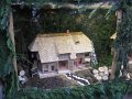 IMG_6950