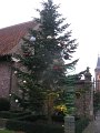 IMG_6952