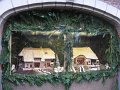 IMG_6956
