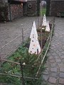 IMG_6965