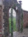 IMG_6969