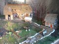 IMG_6972
