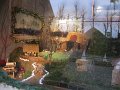 IMG_6973