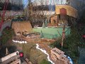 IMG_6974