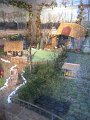 IMG_6975