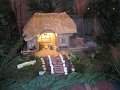 IMG_6978