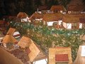 IMG_6991