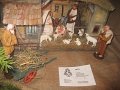 IMG_6995