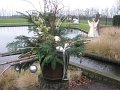 IMG_7000