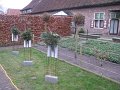 IMG_7004