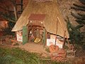 IMG_7025