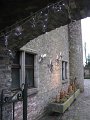 IMG_7041