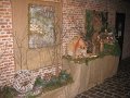 IMG_7050