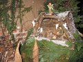 IMG_7054