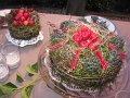 IMG_7095