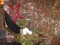 IMG_7107