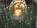 IMG_7115