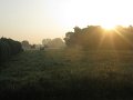 IMG_3081