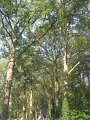 IMG_3139