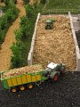 IMG_3210
