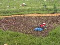 IMG_3213