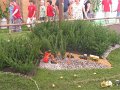 IMG_3216
