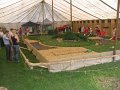 IMG_3218