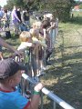 IMG_3288