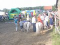 IMG_3306