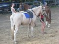 IMG_3307