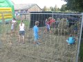IMG_3339