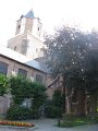 IMG_6566