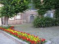 IMG_6567