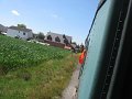 IMG_6687