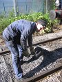 IMG_6802