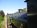 IMG_6805