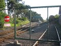 IMG_6825