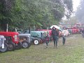 IMG_9135