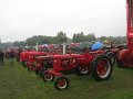 IMG_9177
