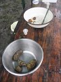 IMG_9284