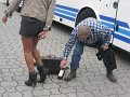 IMG_9402